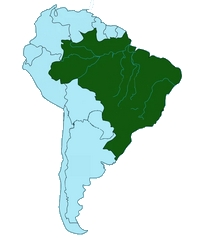 Padurea Amazoniana