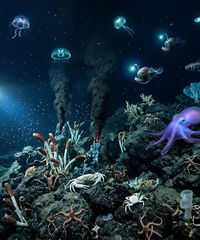 Regatul invizibil al mărilor și oceanelor
