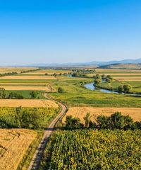 Unitățile de relief ale României: Câmpiile