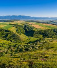 Unitățile de relief ale României: Podișuri, dealuri și Subcarpați