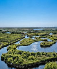 Unitățile de relief ale României: Relieful litoral și Delta Dunării