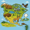 Curiozități din America de Nord 1