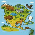 Curiozități din America de Nord 2