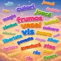 Teste de raționament verbal